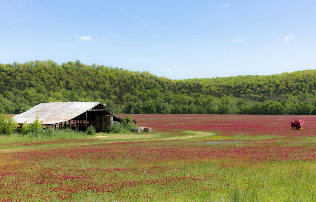 Rural acreage with a barn, the kind of Southern land evaluated for development potential