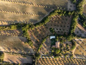 Aerial view of land for real estate and development strategy in Alabama